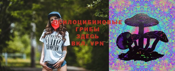 apvp Алзамай