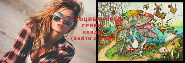 амф Алексин