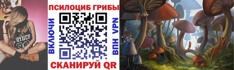 дарнет шоп Тобольск Галлюциногенные грибы Magic Shrooms