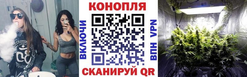 Бошки Шишки планчик  MEGA онион  Тобольск  маркетплейс клад  где купить наркоту 